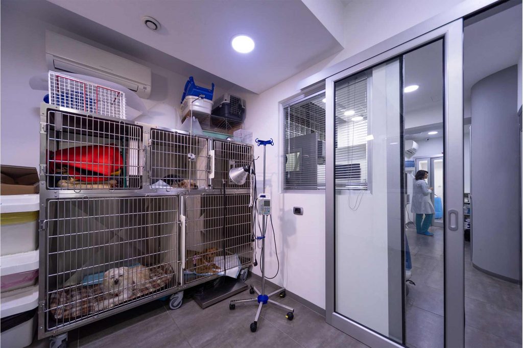 Particolare della sala di degenza della clinica veterinaria con gabbie e animaletti