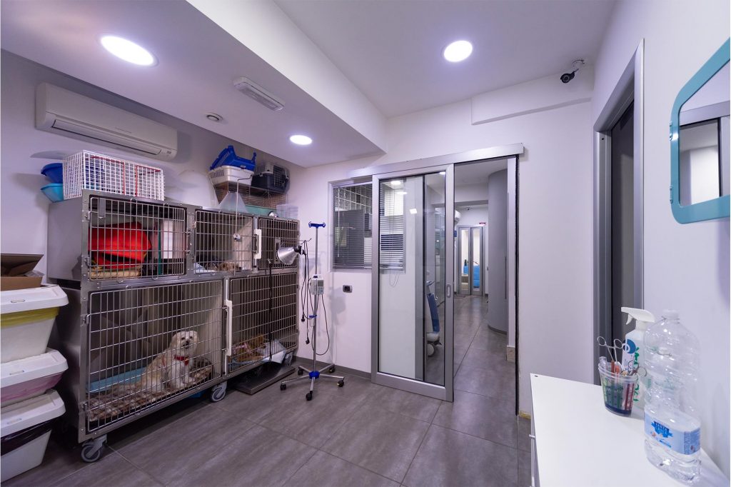 Sala con gabbie e animali in clinica veterinaria