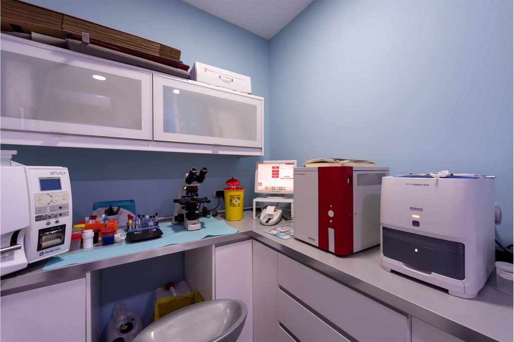 Particolare con strumenti di laboratorio della clinica veterinaria