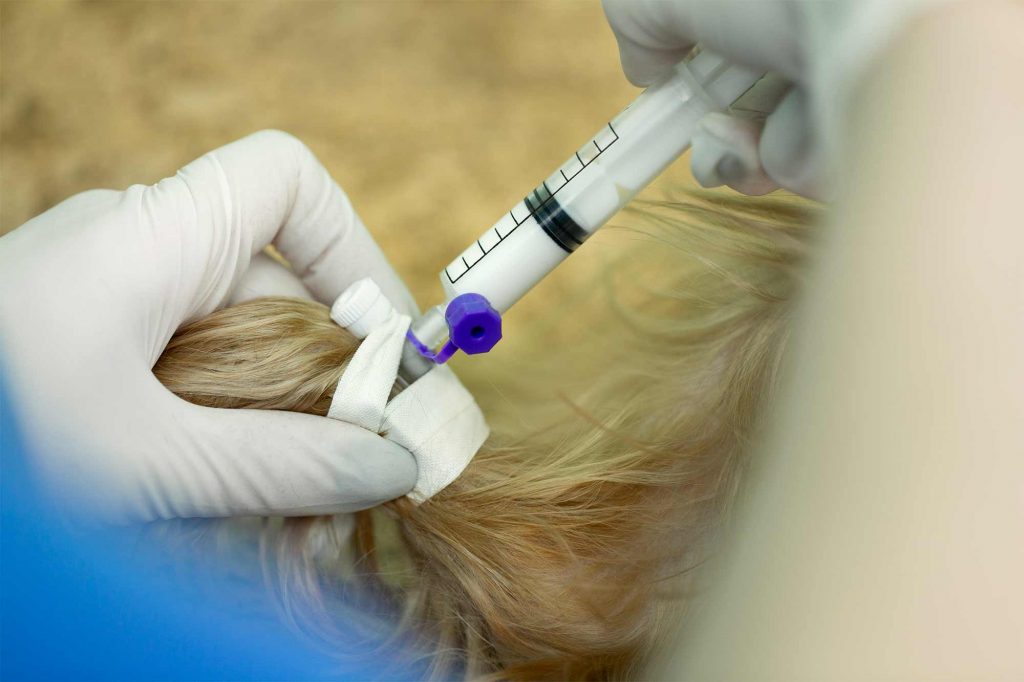 Iniezione per applicazione microchip a un cane