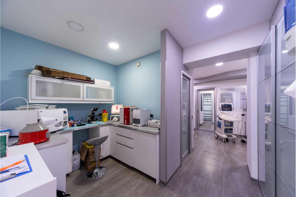 Panoramica sugli strumenti di laboratorio della clinica veterinaria