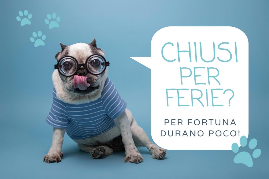 Bulldog francese con occhiali che annuncia la chiusura per ferie della clinica veterinaria